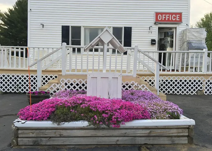 Knotty Pine Motel