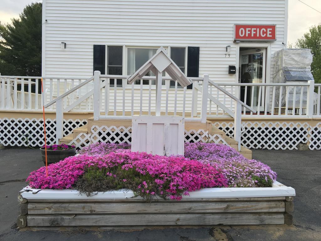 Motel Knotty Pine Salisbury